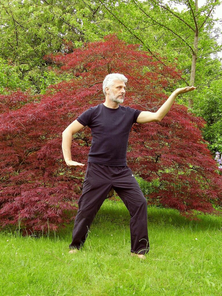 tai chi, taiji, qigong-1420823.jpg